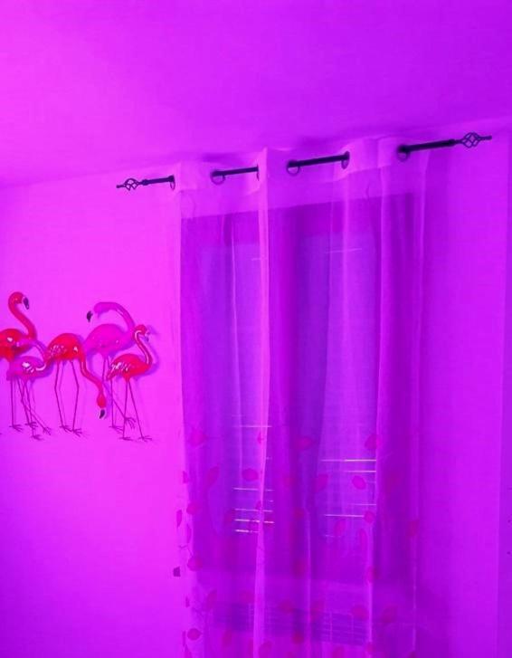 Апартаменты La Casa Colorata Читта-ди-Кастелло Экстерьер фото